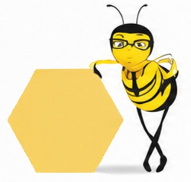 Zeeboo bee mascot with honeycomb